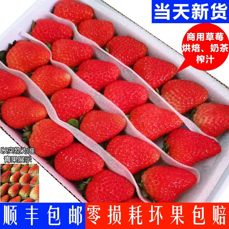云南酸草莓新鲜水果奶茶榨汁蛋糕装饰双流四季硬草莓4盒顺丰包邮