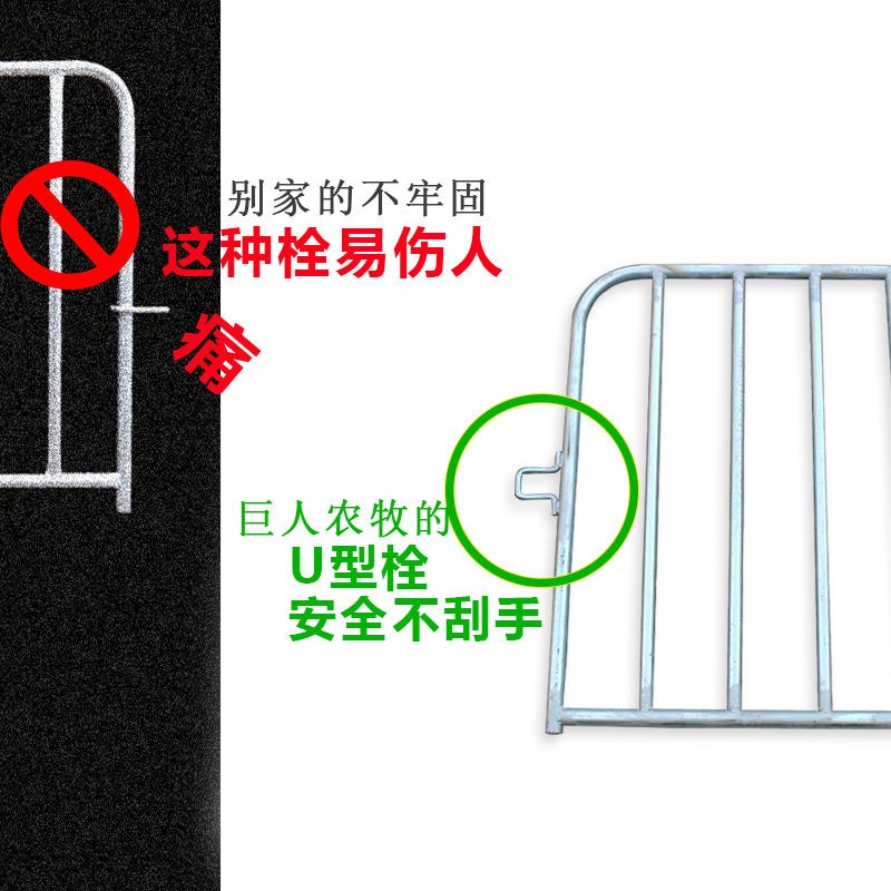 猪圈门板铁护栏舍拦砖墙围栏栏栏舍养殖场场栏栏舍养殖场场栏钢管