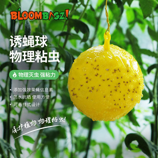 诱蝇球粘虫球瓜果实蝇防虫针蜂诱粘球粘蝇球粘柑橘实蝇果蝇诱捕器