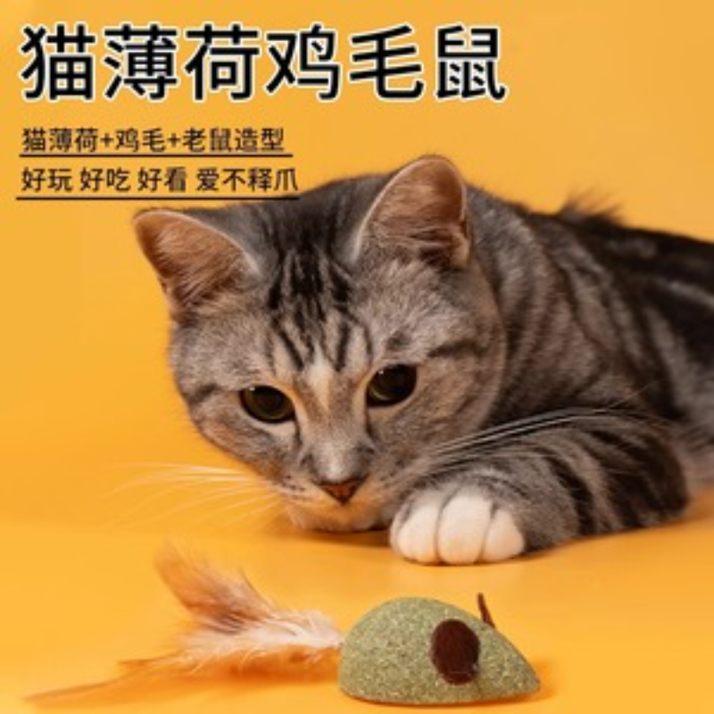 猫玩具猫薄荷球羽毛 猫咪虫瘿果木天蓼逗猫磨牙棒 猫玩具自嗨解闷,宠物/宠物食品及用品,磨牙洁齿玩具/绳结玩具,淘宝优惠券,粉丝福利购,淘宝优惠卷