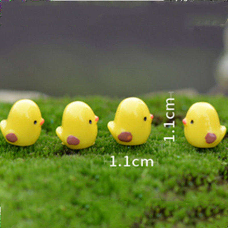 治愈型多肉小黄鸡diy可爱呆萌宿舍办工桌造景摆件装饰,家居饰品,桌面摆件,淘宝优惠券,粉丝福利购,淘宝优惠卷