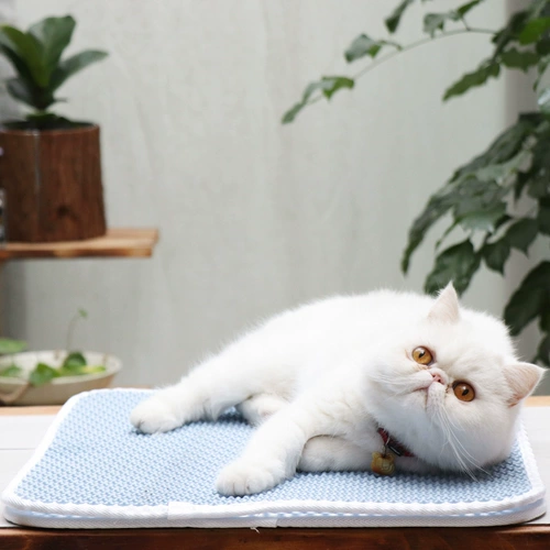 Meow xiaoqian двойной слой полой кошки песчаной подушка защищает домашнюю экологическую оборону и выводит коврики для кошек на подушку