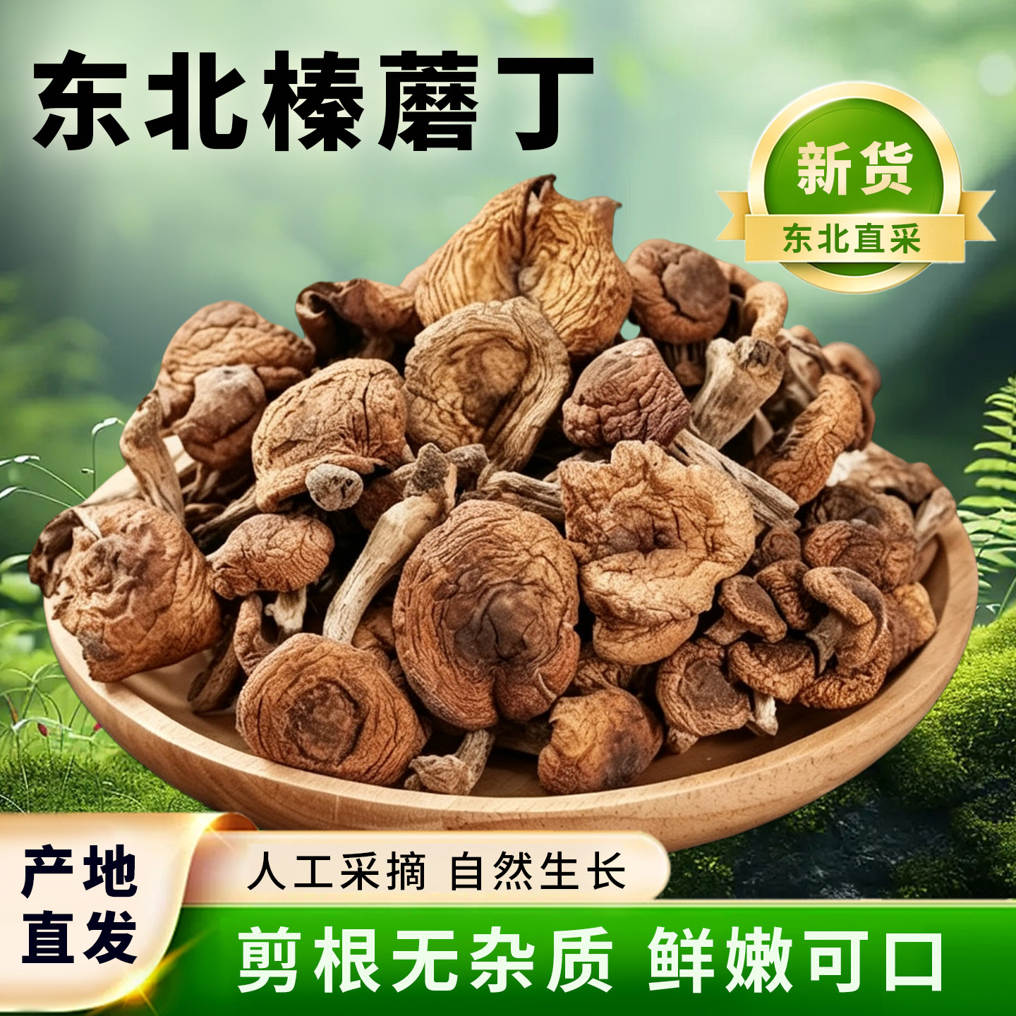 长白山特产野生榛蘑丁