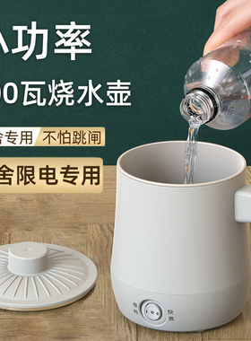 小功率电热水壶宿舍一人用学生小型烧水壶低400w寝室200w300w500w