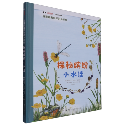 探秘缤纷小水洼