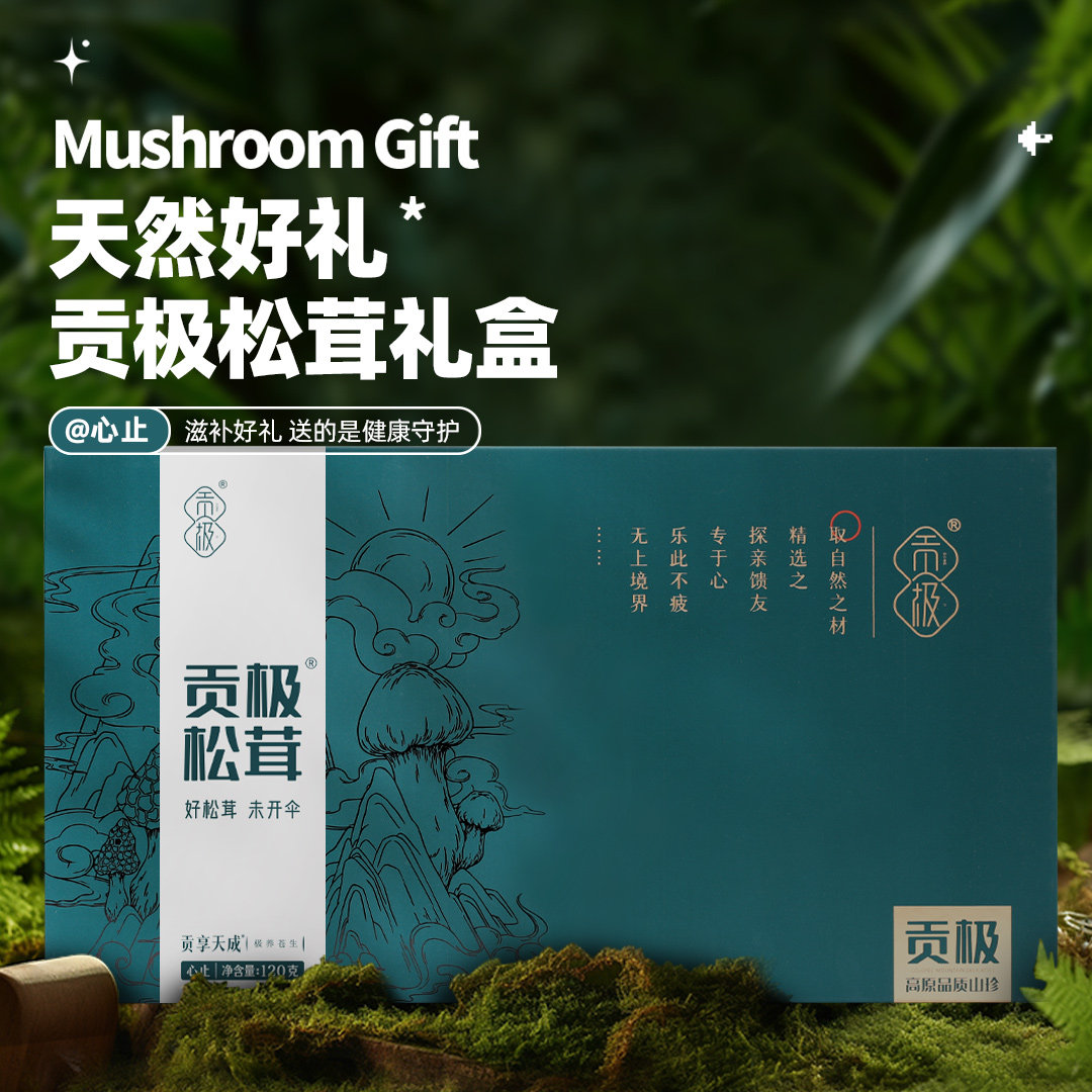 贡极松茸未开伞120g高档礼盒送礼