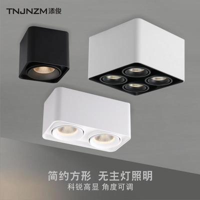 方形明装筒灯 简约客厅过道走廊双头筒灯单头斗胆灯吸顶式射灯