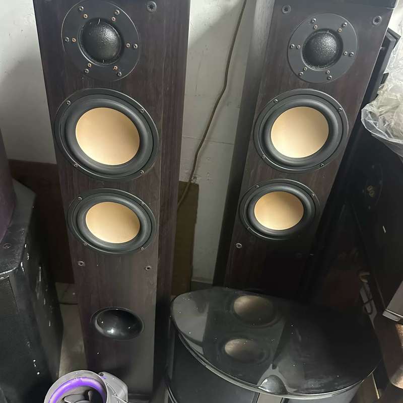 请议价-惠威Diva 5.1P落地，双5寸中低音单元，一寸鹦