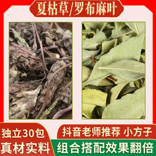 罗布麻叶夏枯草各15克中药材新鲜泡水喝的功效与作用新货压降养生