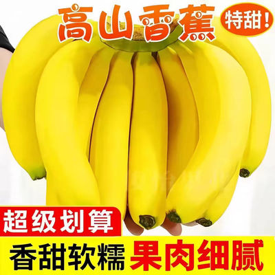 精选高山香蕉新鲜现摘批发自然水果薄皮当季青皮整箱香蕉催熟