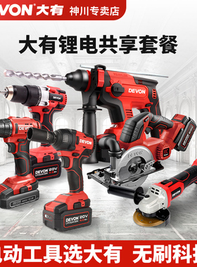 大有5401充电电锤钻电镐两用锂电冲击钻打混凝土家用电动工具套装