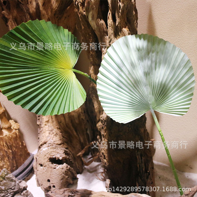 精品棕榈叶橱窗装饰仿真单片扇棕叶植物墙配材样板间装饰厂家,家居饰品,仿真植物盆景,淘宝优惠券,粉丝福利购,淘宝优惠卷