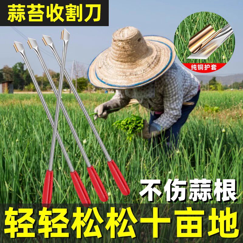 抽蒜苔神器蒜薹收割刀抽蒜器拔剥提打蒜苔划蒜苗蒜台摘蒜苗的工具