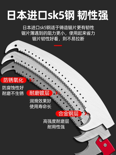 Высокая ветвь увидела, что высоко высотные деревья