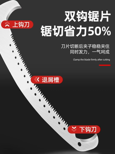 Высокая ветвь увидела, что высоко высотные деревья