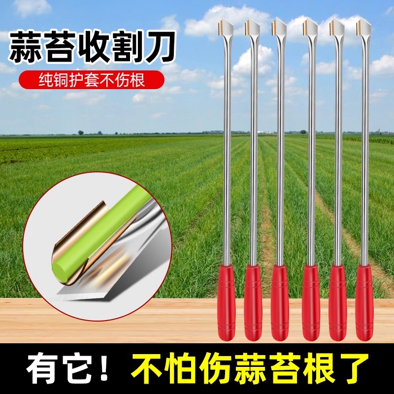 抽蒜苔刀神器蒜薹收割刀抽蒜器拔剥提打蒜苔刮划蒜苗摘蒜苗的工具