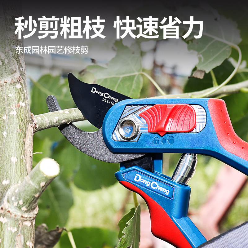 东成修剪树枝剪刀修枝剪果树剪图片