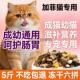 加菲猫专用高蛋白全阶段猫粮10斤大包装 幼猫成猫通用型冻干满月后