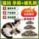 猫妈妈哺乳期孕猫母猫怀孕期猫咪专用猫粮产后月子餐5斤10满月后