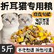 折耳猫专用冻干猫粮10斤装 成猫幼猫生骨肉增肥营养发腮7554满月后