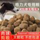格力犬细狗猎狗幼成犬专用狗粮10斤40斤通用型便宜大包装 满月后