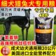 牧羊犬专用惠比特格力灵缇成幼犬粮细犬猎犬狗粮大包装 40斤通用型