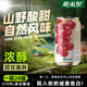燕禾泉山楂果汁饮料310ml 24罐整箱酸爽好喝礼品婚宴 水山楂冰糖