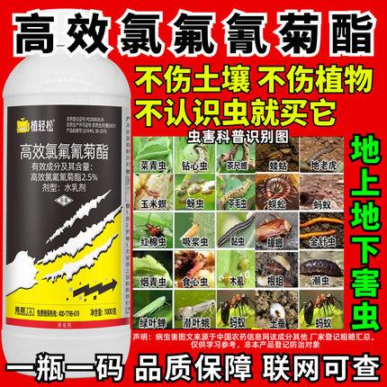 高效氯氟氰菊酯蔬菜青虫果树农药土壤地下害虫花卉蚜虫杀虫剂农用