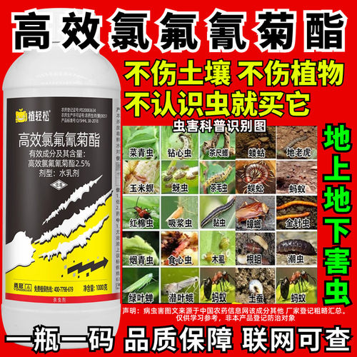 高效氯氟氰菊酯土壤农用地下害虫