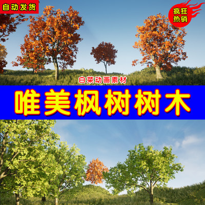 UE4枫树树木UE5集合 Tree Pack (Assorted Maple Trees)