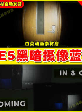 UE5虚幻资源 Multiplayer Horror Bodycam 摄像拍照实用蓝图5.2