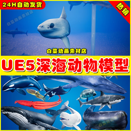 UE5 Ocean Animals MEGA Pack 深海鱼儿动物生物动画模型5.1