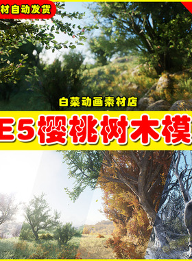 UE5 Cherry Plum, Prunus cerasifera - Seasons 樱桃树木模型5.5