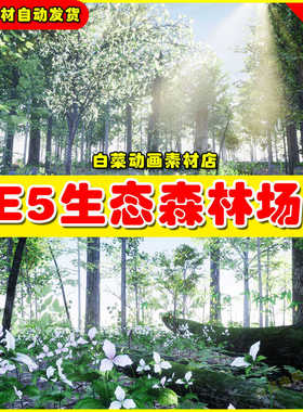 UE5 35 AR VR Northeastern US Plants and Ecosystems 生态森林