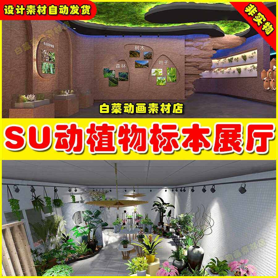 动物植物展厅SU模型展览馆草图大师科普标本花卉昆虫展示墙博物馆