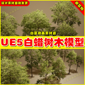 UE5 Trees Foliage Unreal VOL.7 Ash 白蜡树木植物模型5.4版 本
