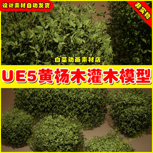 UE5 Foliage VOL.16 - Boxwood Bushes虚幻5.5黄杨木灌木植物模型