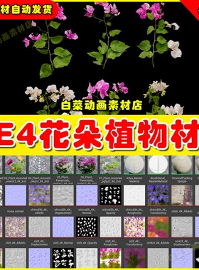 UE4花草植物UE5材质 Megascans - Bush Flower Vol. 1