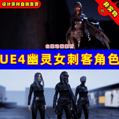 UE4 UE5 Ghost Lady S1 Assassin 灵女刺客女战士暗夜幽动画角色