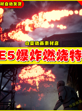 UE5 EXPLOSIONS - Niagara Explosions 虚幻5.5爆炸轰炸燃烧特效