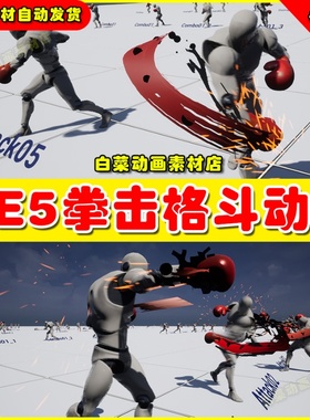UE5虚幻素材Unleashed boxer AnimSet 拳击跆拳道格斗动作动画5.2