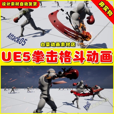 UE5虚幻素材Unleashed boxer AnimSet 拳击跆拳道格斗动作动画5.2