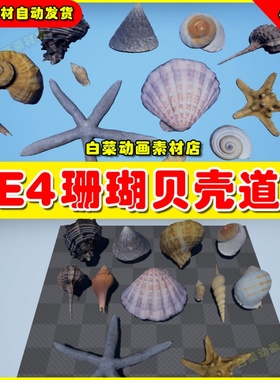 UE4珊瑚海星海边沙滩贝壳UE5模型 Seashells and Starfishes