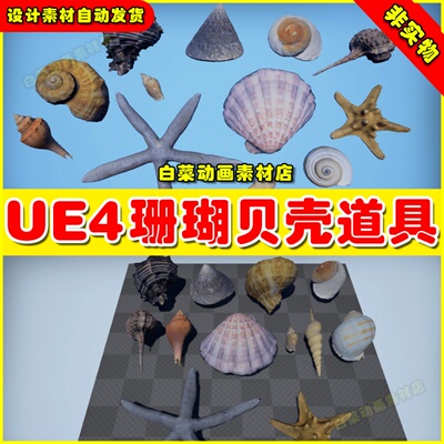 UE4珊瑚海星海边沙滩贝壳UE5模型 Seashells and Starfishes