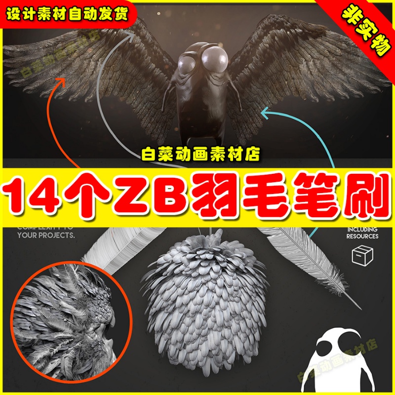14个zbrush羽毛笔刷雕刻绘画ps工具alpha透明贴图素材