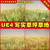 Low Poly Realistic UE4多边形小草风吹UE5动态模型 Grass Pack
