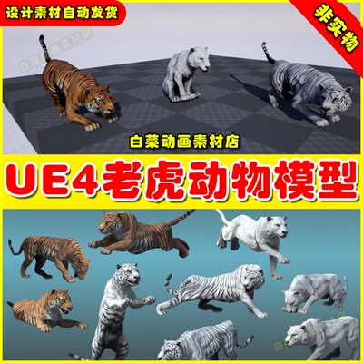 UE4虚幻UE5 Asian Animal - Tiger  大老虎白虎猛虎动画模型