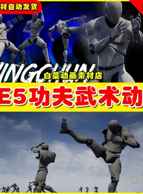 UE5虚幻资源 Wingchun AnimSet 武术功夫打斗格斗动作动画5.2