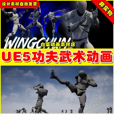 UE5虚幻资源 Wingchun AnimSet 武术功夫打斗格斗动作动画5.2