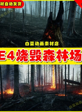 UE4燃烧森林树林UE5场景 MW Burned Dead Trees Forest Biome